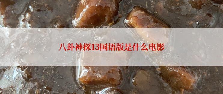 八卦神探13国语版是什么电影