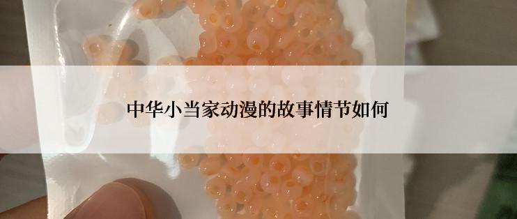 中华小当家动漫的故事情节如何