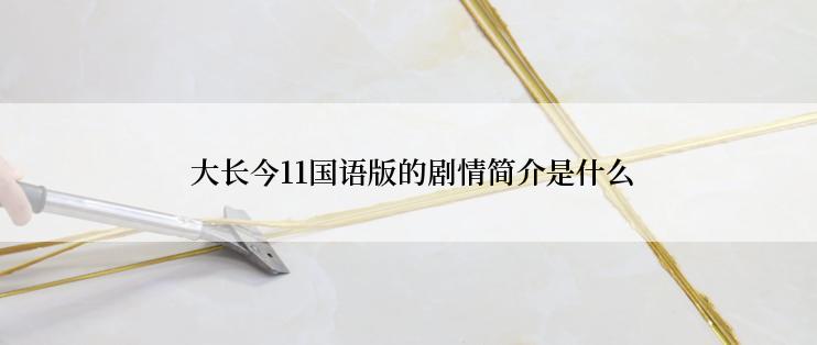  大长今11国语版的剧情简介是什么