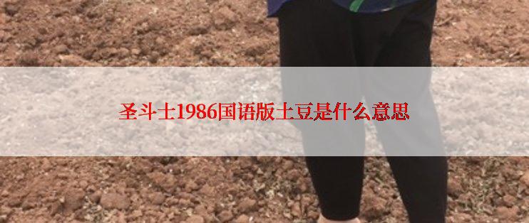 圣斗士1986国语版土豆是什么意思