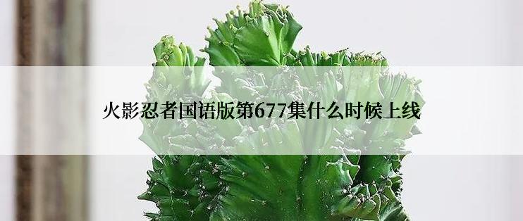 火影忍者国语版第677集什么时候上线