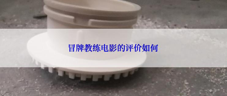 冒牌教练电影的评价如何