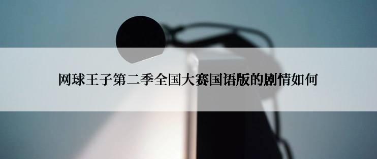 网球王子第二季全国大赛国语版的剧情如何