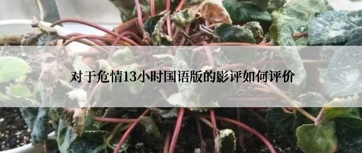  对于危情13小时国语版的影评如何评价