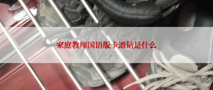 家庭教师国语版卡通钻是什么