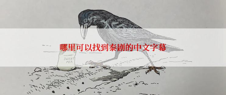 哪里可以找到泰剧的中文字幕