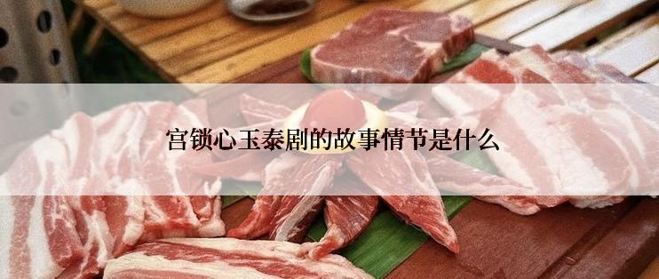  宫锁心玉泰剧的故事情节是什么