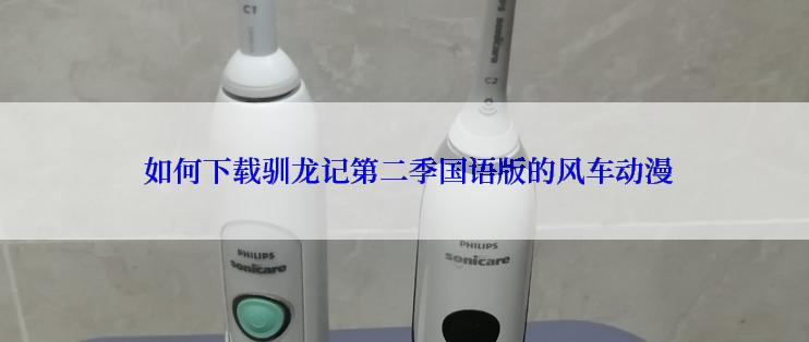  如何下载驯龙记第二季国语版的风车动漫