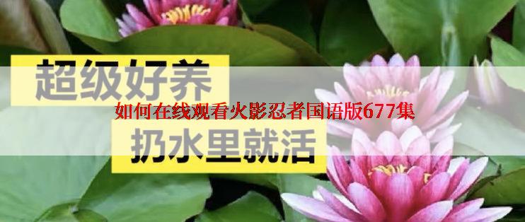  如何在线观看火影忍者国语版677集