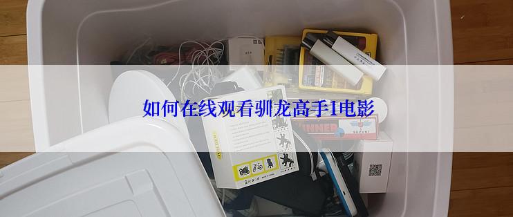  如何在线观看驯龙高手1电影