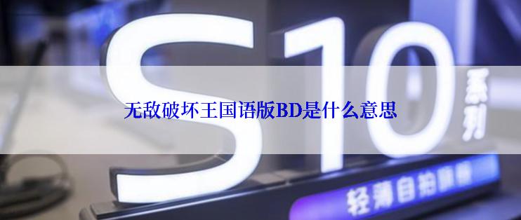 无敌破坏王国语版BD是什么意思