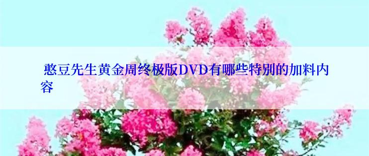  憨豆先生黄金周终极版DVD有哪些特别的加料内容