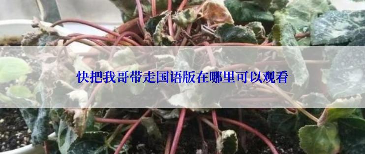 快把我哥带走国语版在哪里可以观看