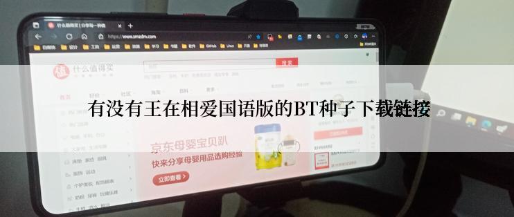  有没有王在相爱国语版的BT种子下载链接