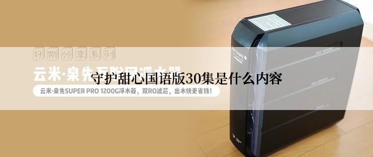 守护甜心国语版30集是什么内容