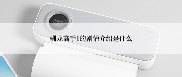 驯龙高手1的剧情介绍是什么