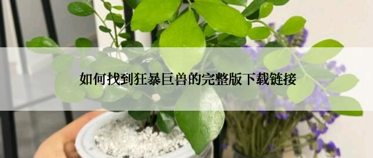  如何找到狂暴巨兽的完整版下载链接