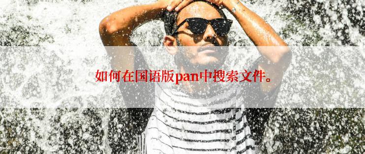 如何在国语版pan中搜索文件。