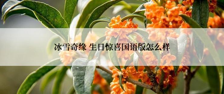 冰雪奇缘 生日惊喜国语版怎么样