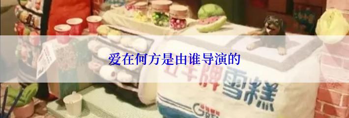 爱在何方是由谁导演的