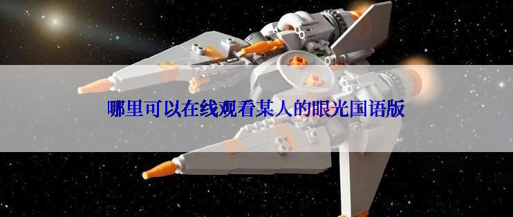 哪里可以在线观看某人的眼光国语版