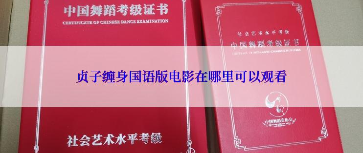 贞子缠身国语版电影在哪里可以观看