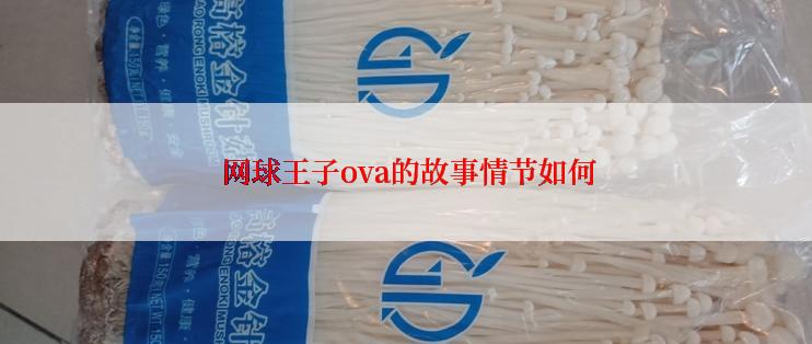  网球王子ova的故事情节如何