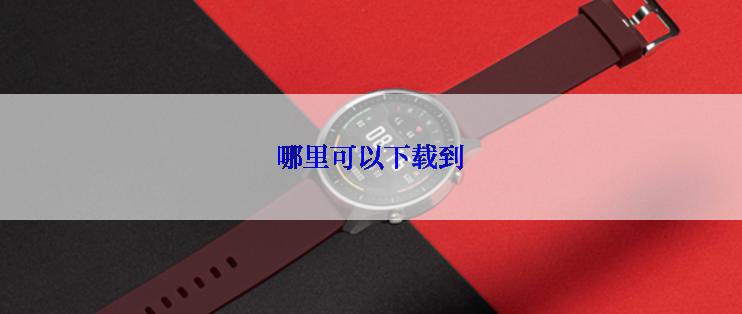 哪里可以下载到