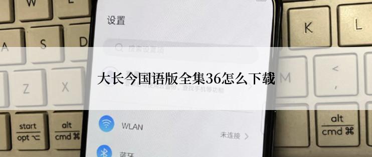 大长今国语版全集36怎么下载