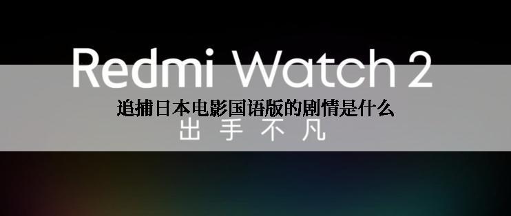 追捕日本电影国语版的剧情是什么