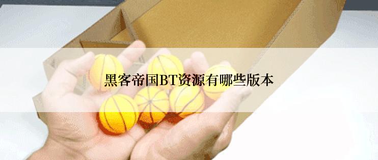 黑客帝国BT资源有哪些版本