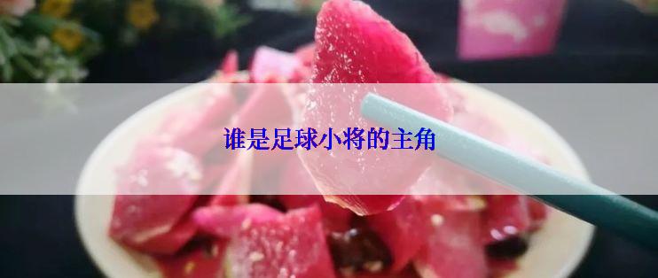 谁是足球小将的主角