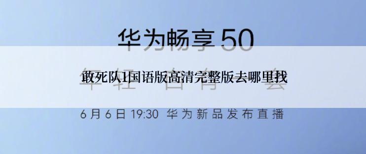  敢死队1国语版高清完整版去哪里找