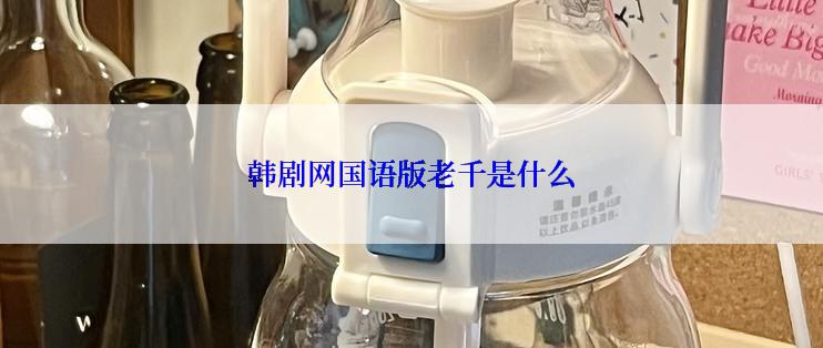 韩剧网国语版老千是什么