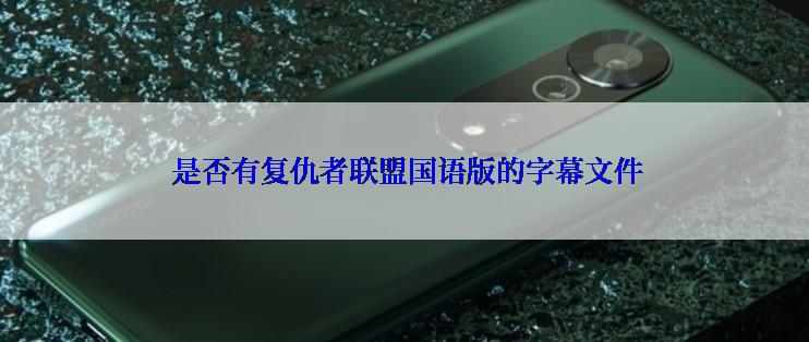  是否有复仇者联盟国语版的字幕文件