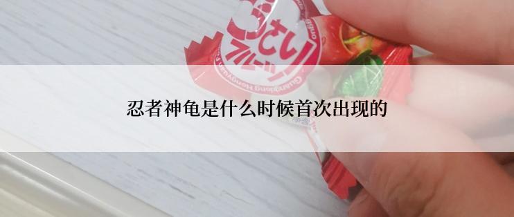 忍者神龟是什么时候首次出现的