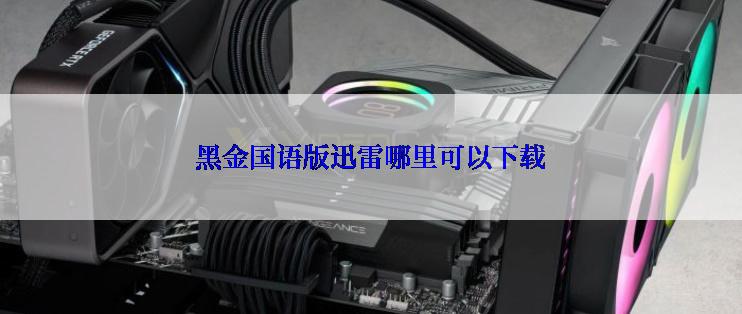 黑金国语版迅雷哪里可以下载