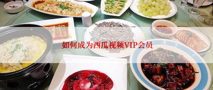  如何成为西瓜视频VIP会员