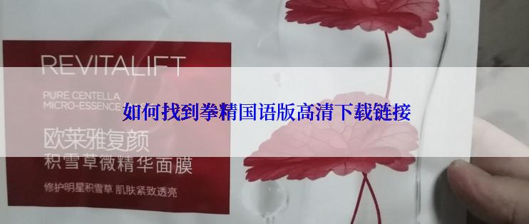  如何找到拳精国语版高清下载链接