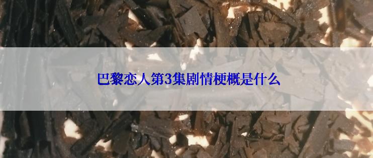  巴黎恋人第3集剧情梗概是什么