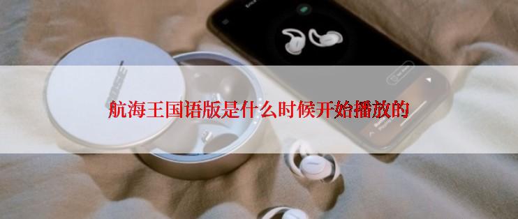 航海王国语版是什么时候开始播放的