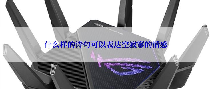 什么样的诗句可以表达空寂寥的情感