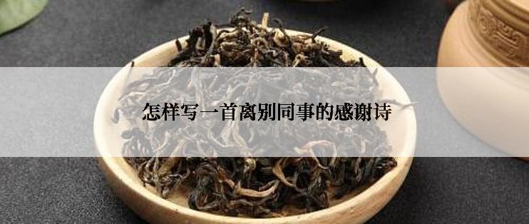  怎样写一首离别同事的感谢诗