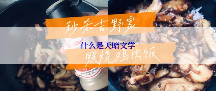 什么是天暗文学