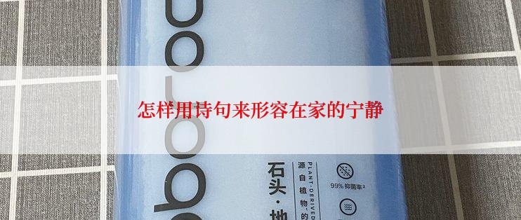 怎样用诗句来形容在家的宁静