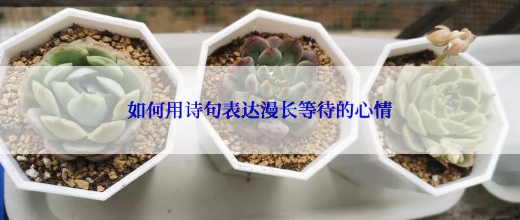 如何用诗句表达漫长等待的心情