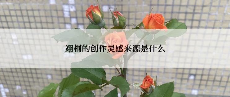 翊桐的创作灵感来源是什么