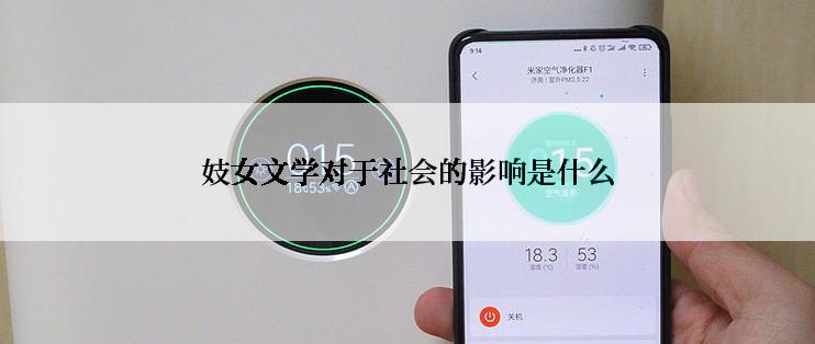 妓女文学对于社会的影响是什么
