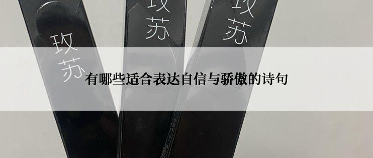 有哪些适合表达自信与骄傲的诗句