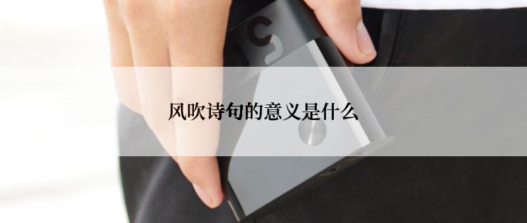 风吹诗句的意义是什么